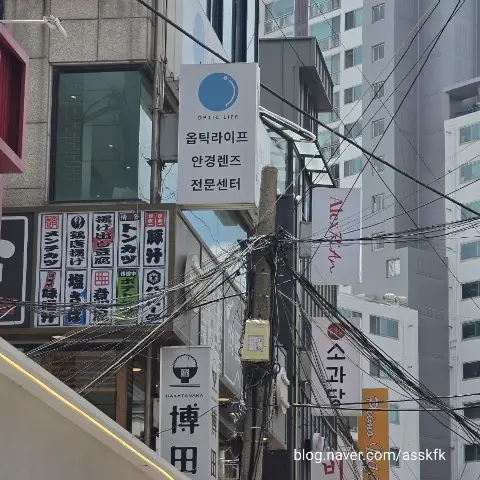 옵틱라이프 할인쿠폰